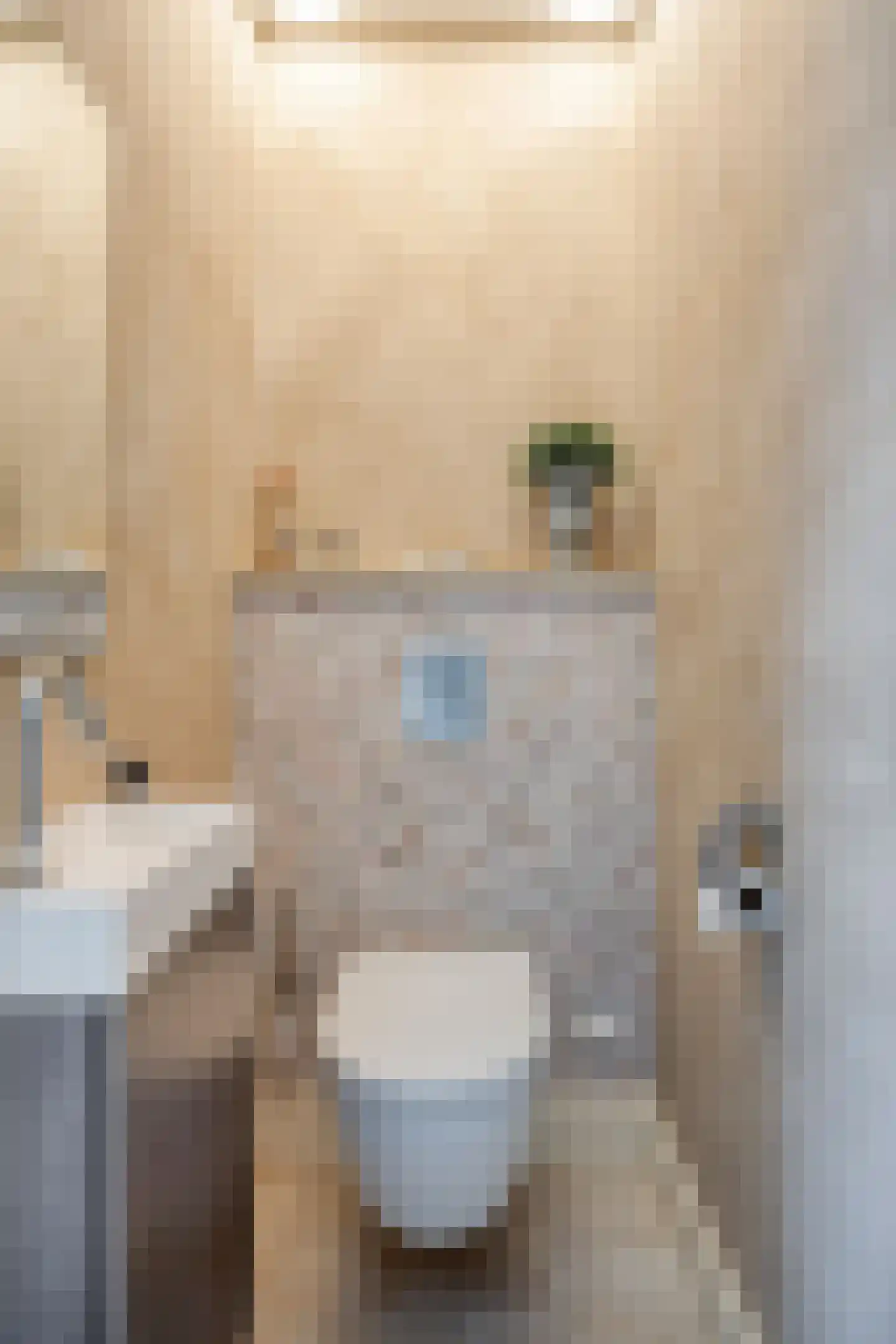 Prins Bernhardstraat 3 Berkenwoude thumbnail 6