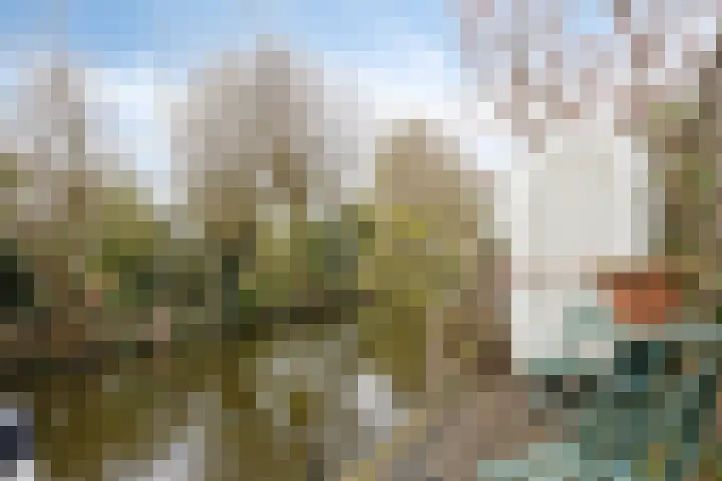 Prins Bernhardstraat 3 Berkenwoude thumbnail 65