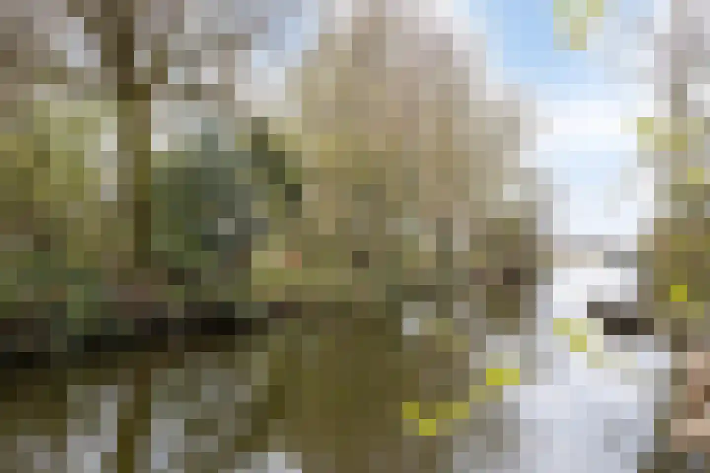 Prins Bernhardstraat 3 Berkenwoude thumbnail 66