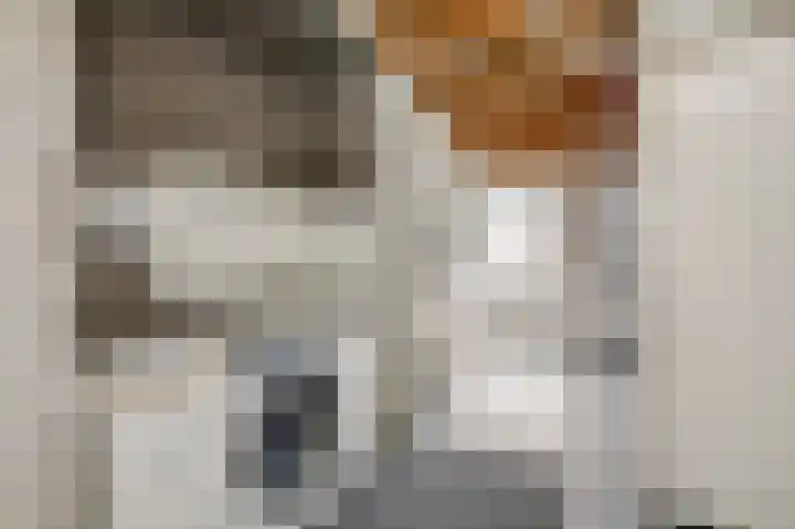 Prins Bernhardstraat 3 Duiven thumbnail 34