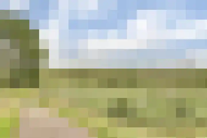 Prins Bernhardstraat 3 Everdingen thumbnail 37