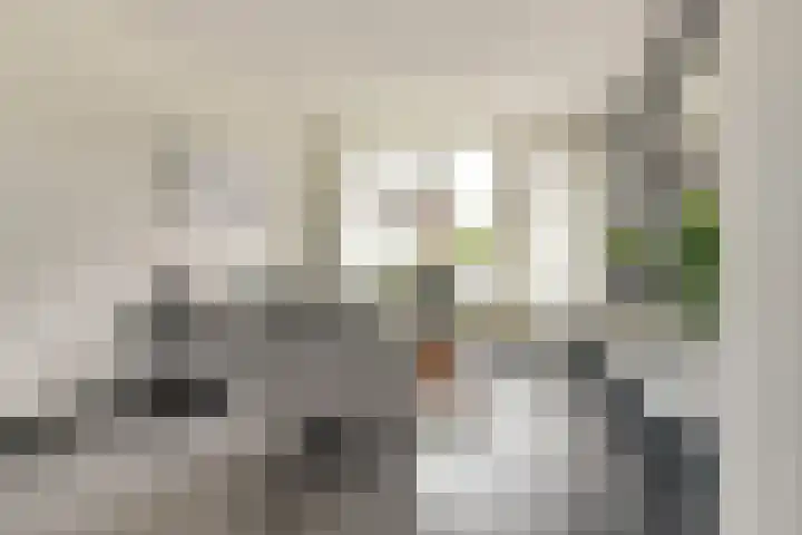 Prins Bernhardstraat 3 Everdingen thumbnail 6