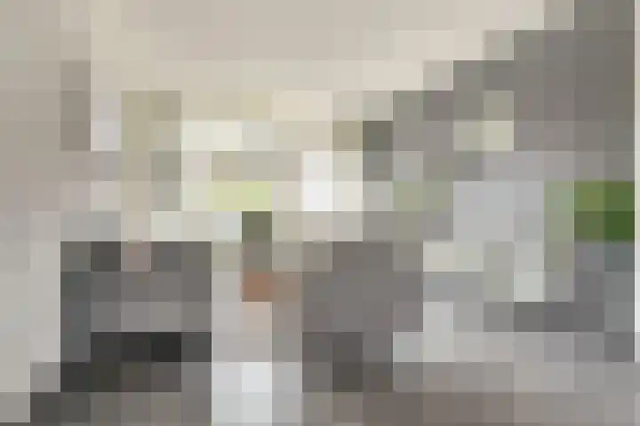 Prins Bernhardstraat 3 Everdingen thumbnail 9