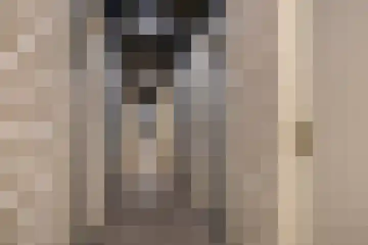 Prins Bernhardstraat 3 Krimpen aan den IJssel thumbnail 32