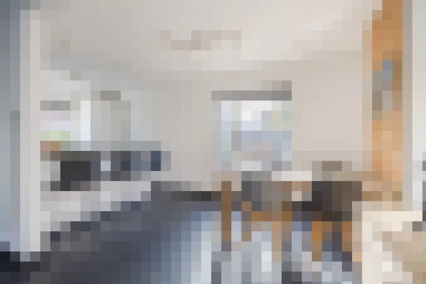 Prins Bernhardstraat 3 Ooltgensplaat thumbnail 14