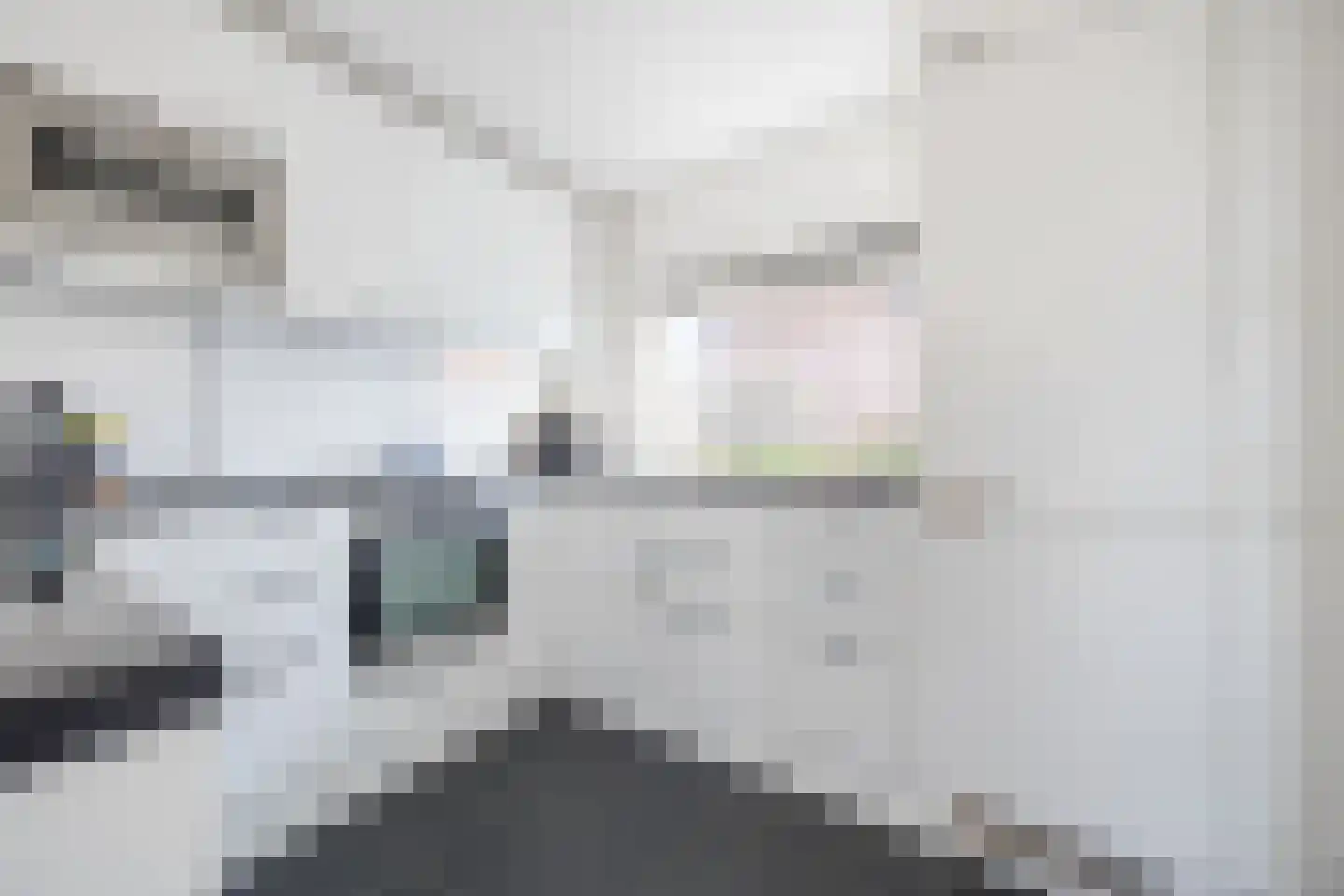 Prins Bernhardstraat 3 Ooltgensplaat thumbnail 15
