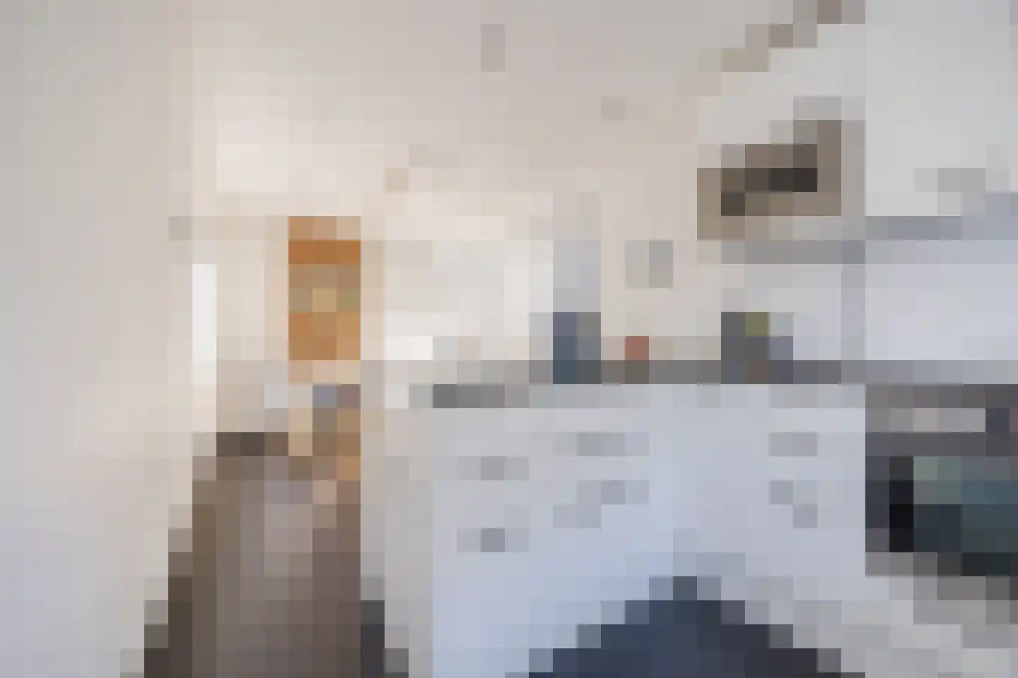 Prins Bernhardstraat 3 Ooltgensplaat thumbnail 17