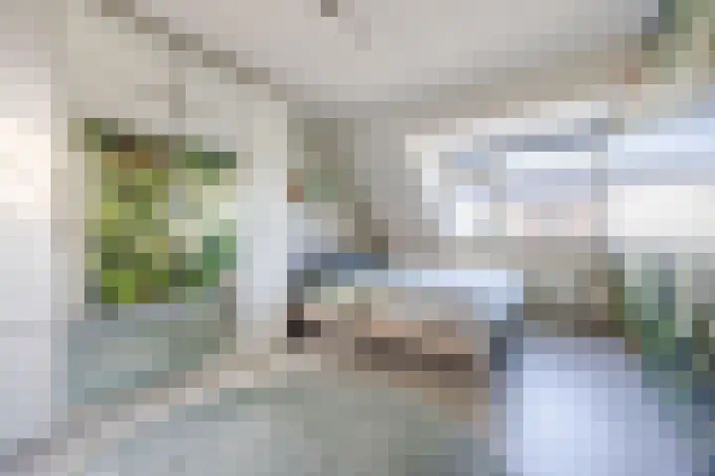 Prins Bernhardstraat 3 Ooltgensplaat thumbnail 21
