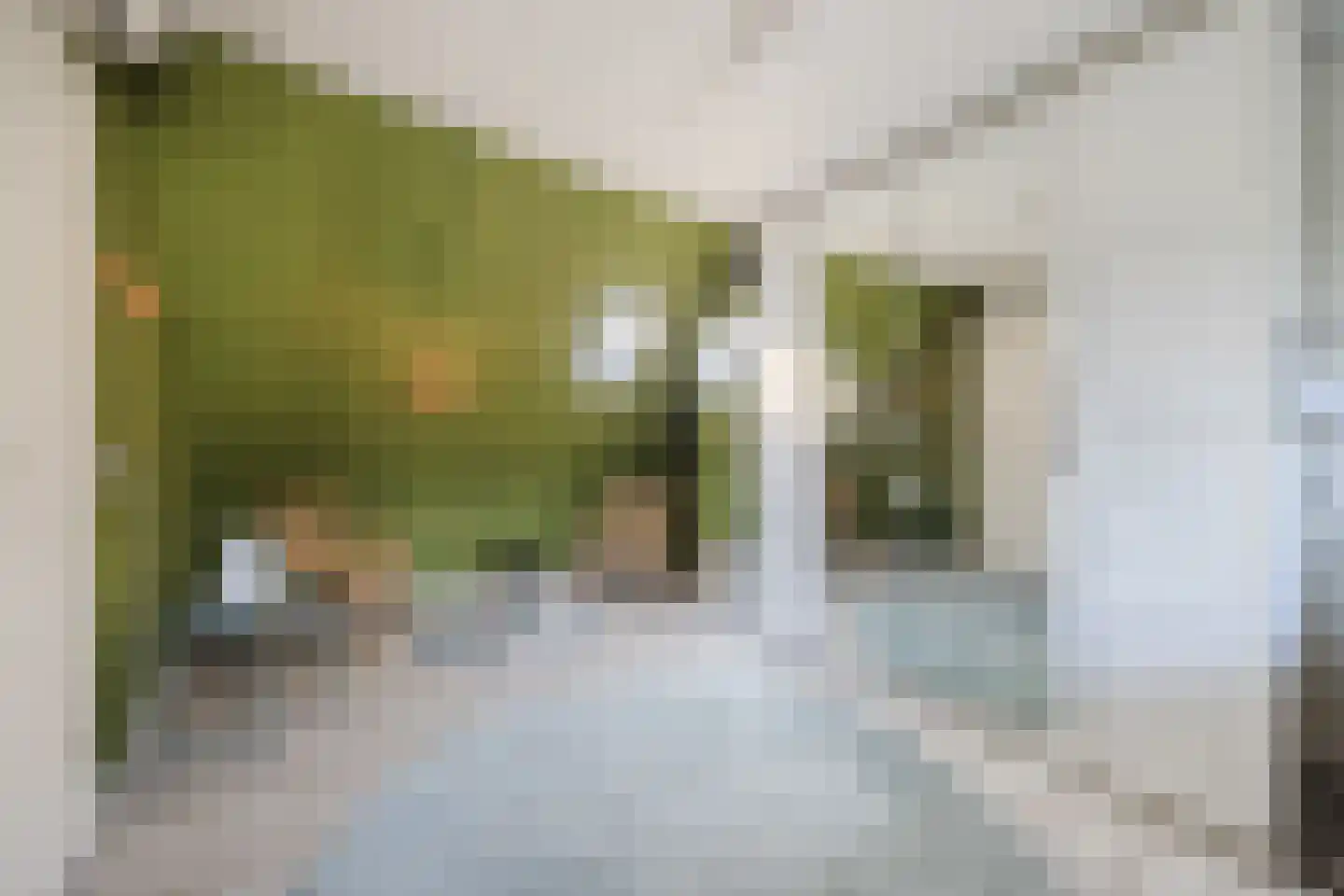 Prins Bernhardstraat 3 Ooltgensplaat thumbnail 22