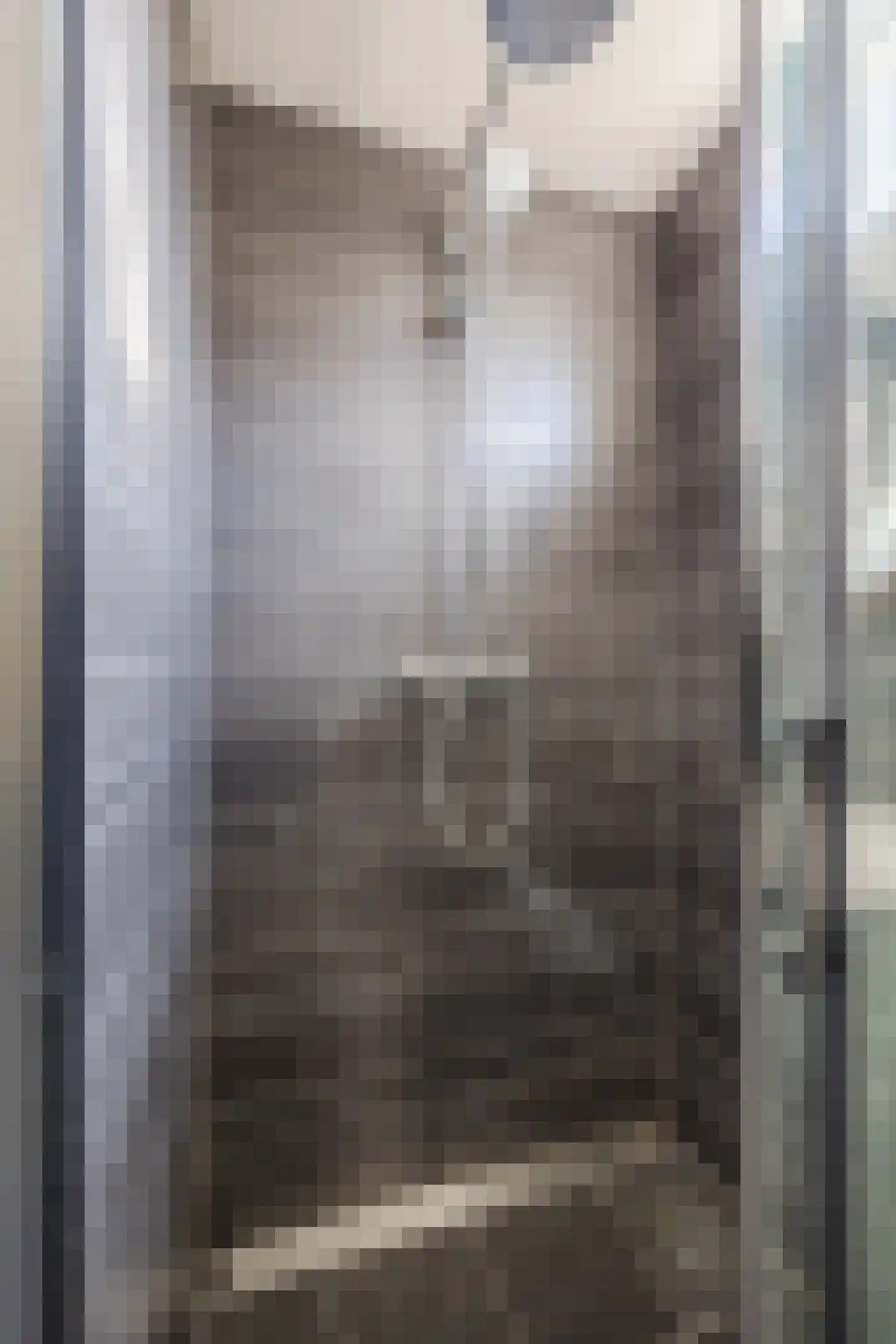 Prins Bernhardstraat 3 Ooltgensplaat thumbnail 28