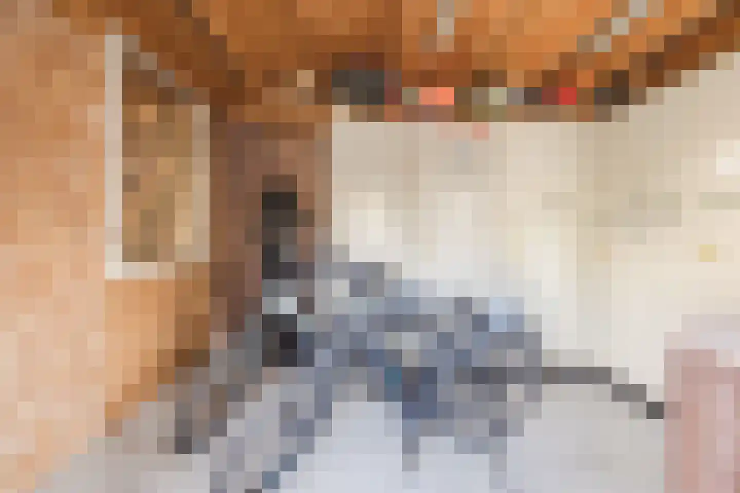 Prins Bernhardstraat 3 Ooltgensplaat thumbnail 32