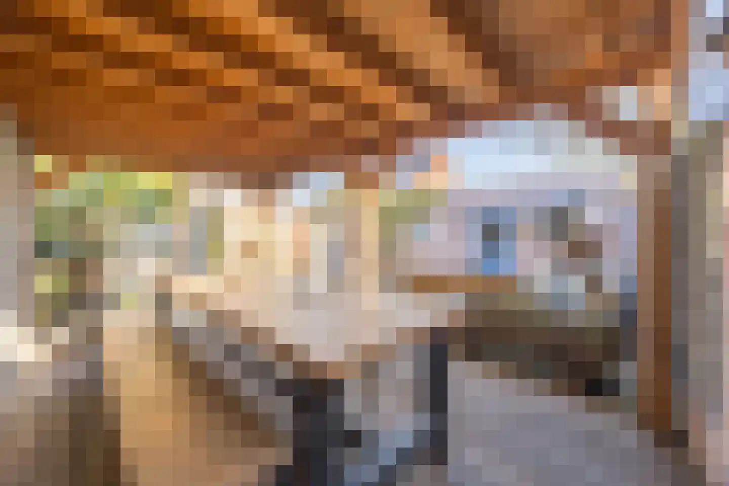 Prins Bernhardstraat 3 Ooltgensplaat thumbnail 38