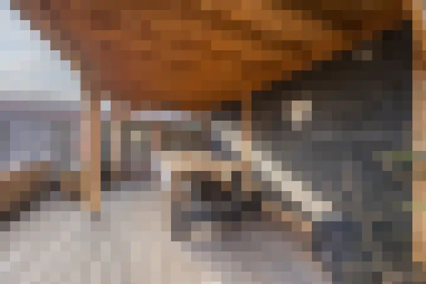 Prins Bernhardstraat 3 Ooltgensplaat thumbnail 39