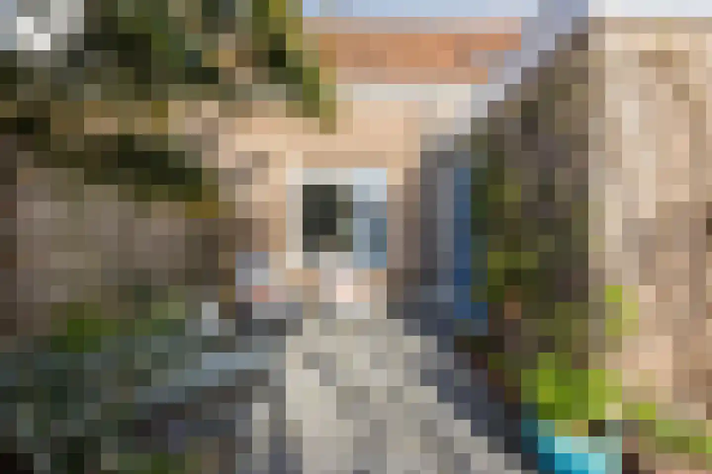 Prins Bernhardstraat 3 Ooltgensplaat thumbnail 41