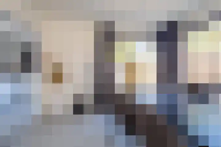 Prins Bernhardstraat 3 Vroomshoop thumbnail 12