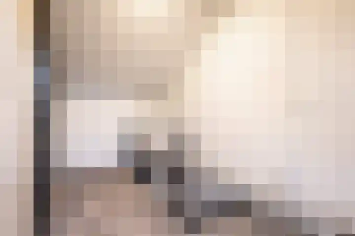 Prins Bernhardstraat 3 Vroomshoop thumbnail 26