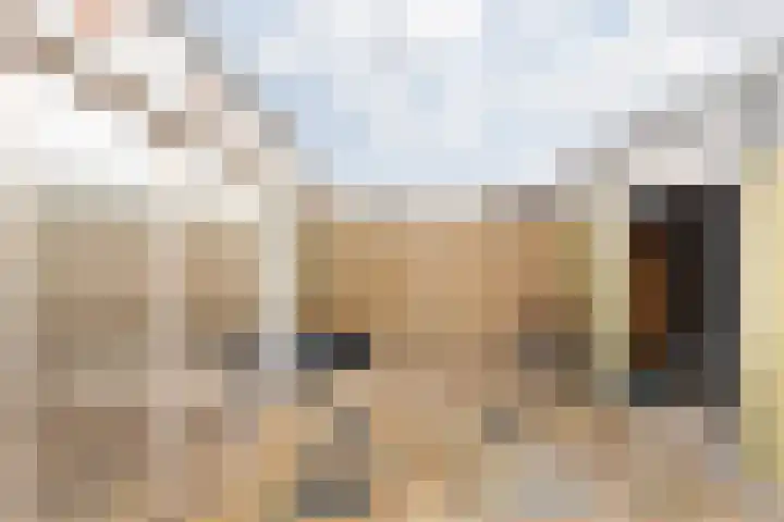 Prins Bernhardstraat 3 Vroomshoop thumbnail 31