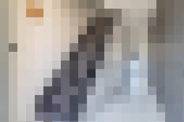 Prins Bernhardstraat 3 Vroomshoop thumbnail 4