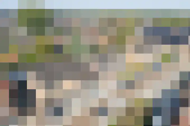 Prins Bernhardstraat 3 Vroomshoop thumbnail 41