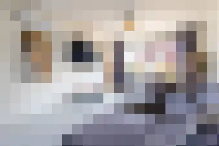 Prins Bernhardstraat 3 Vroomshoop thumbnail 6
