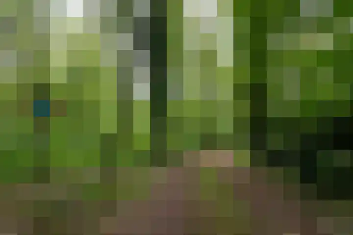 Prins Bernhardstraat 3 Vroomshoop thumbnail 8
