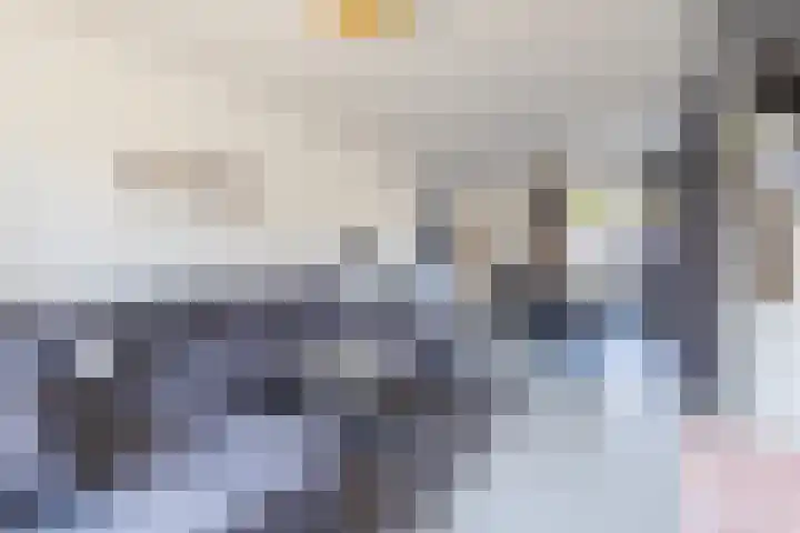 Prins Bernhardstraat 3 Vroomshoop thumbnail 8