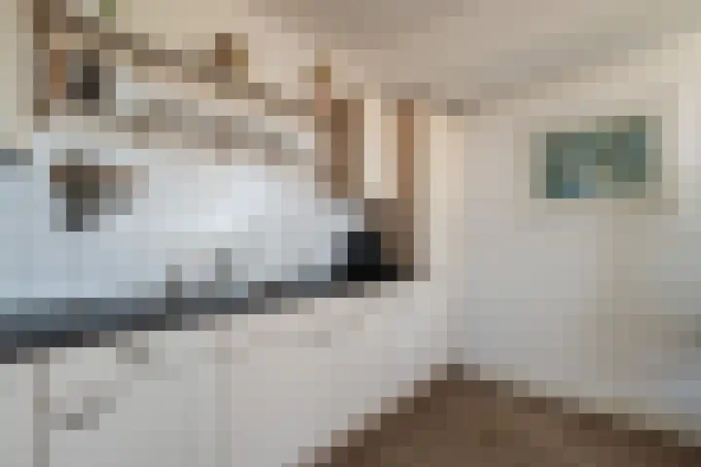 Prins Bernhardstraat 31 Krimpen aan den IJssel thumbnail 10