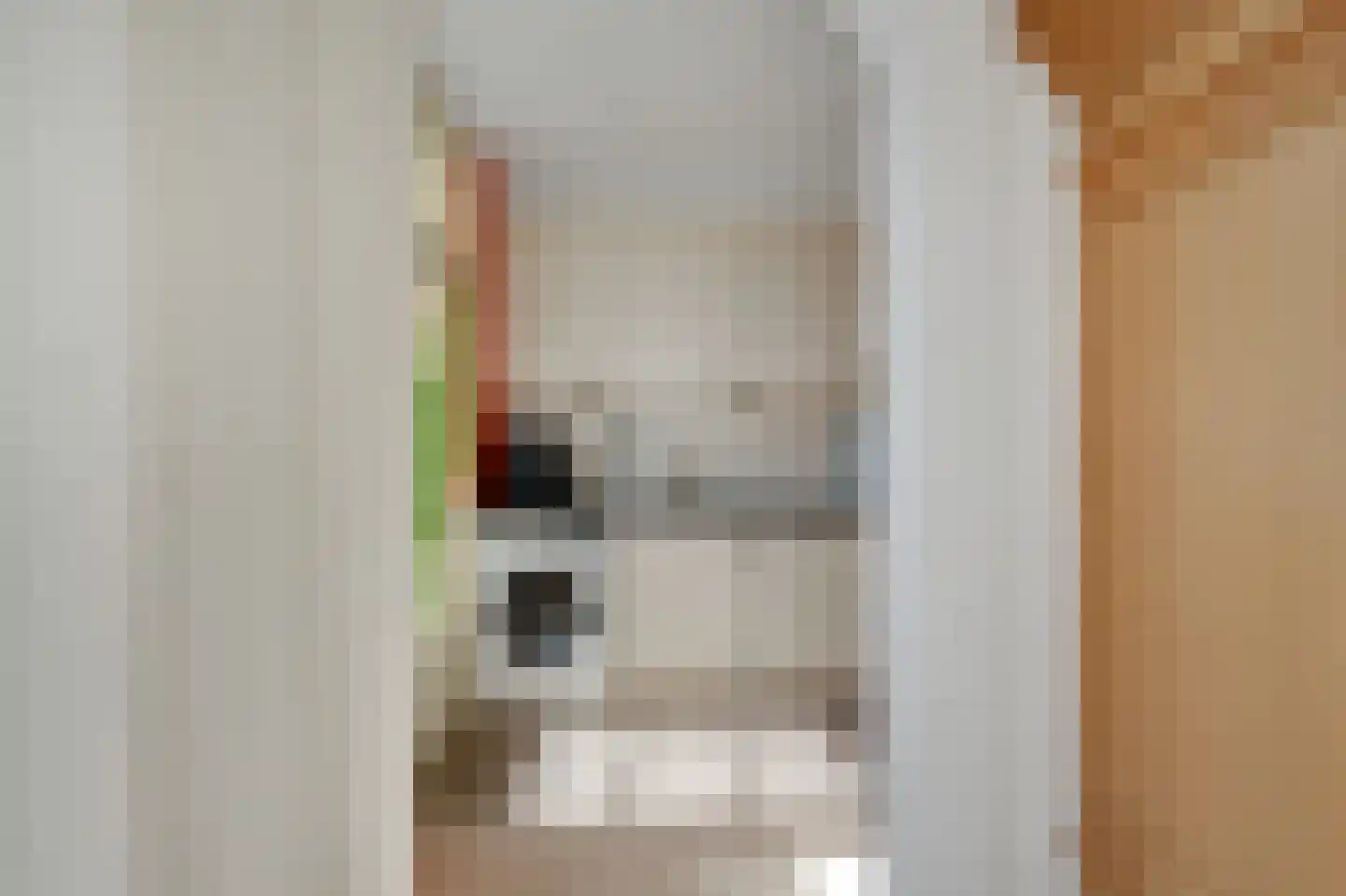 Prins Bernhardstraat 32 Duiven thumbnail 16