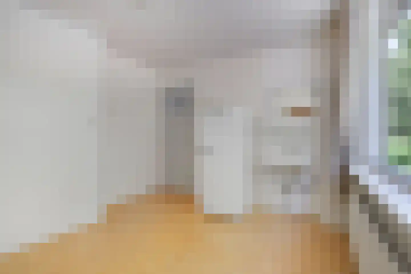 Prins Bernhardstraat 32 Duiven thumbnail 25