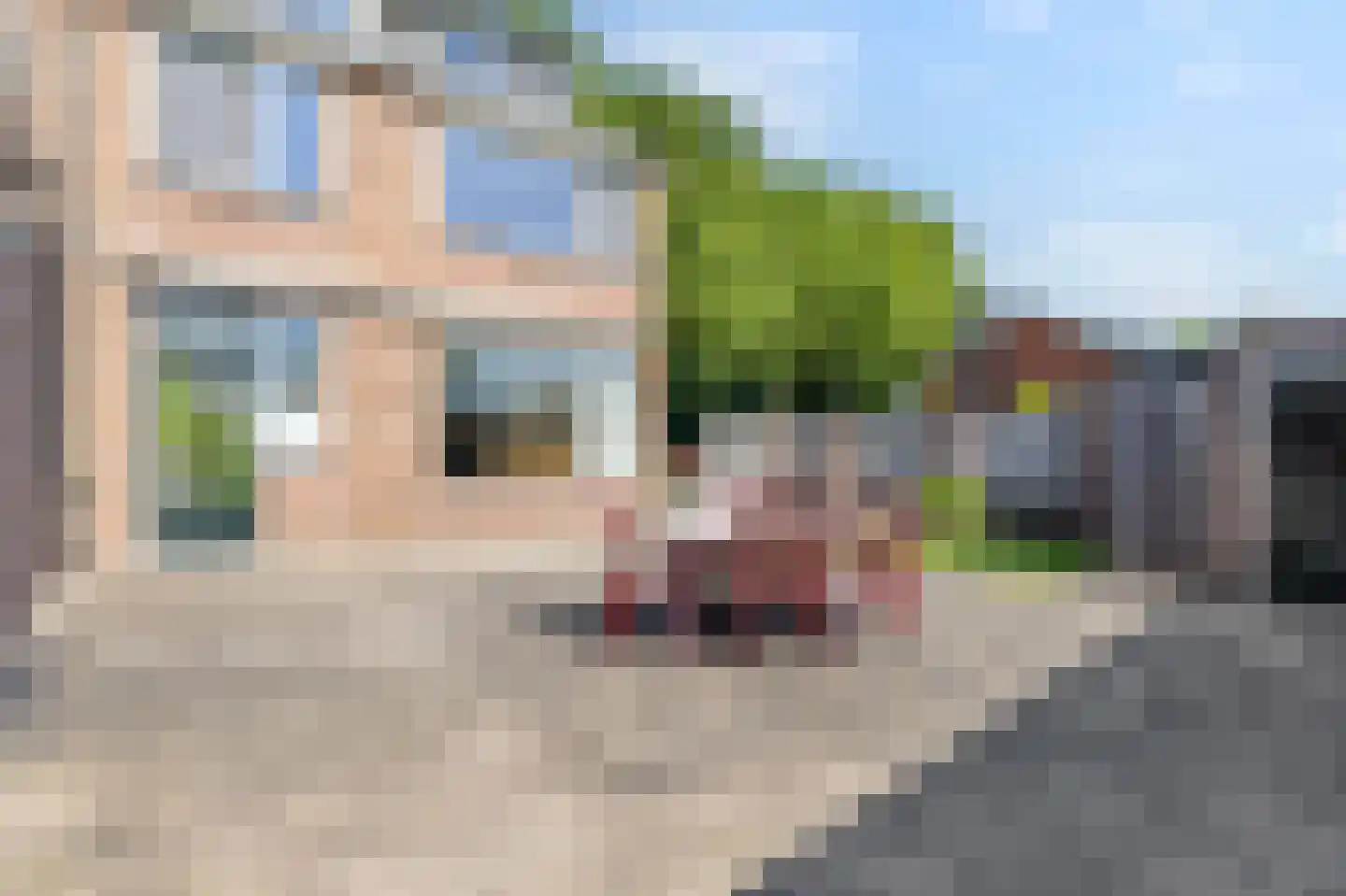 Prins Bernhardstraat 32 Duiven thumbnail 39
