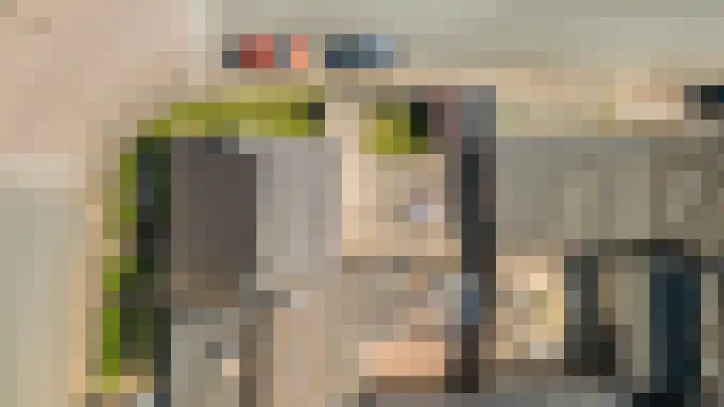 Prins Bernhardstraat 32 Duiven thumbnail 48