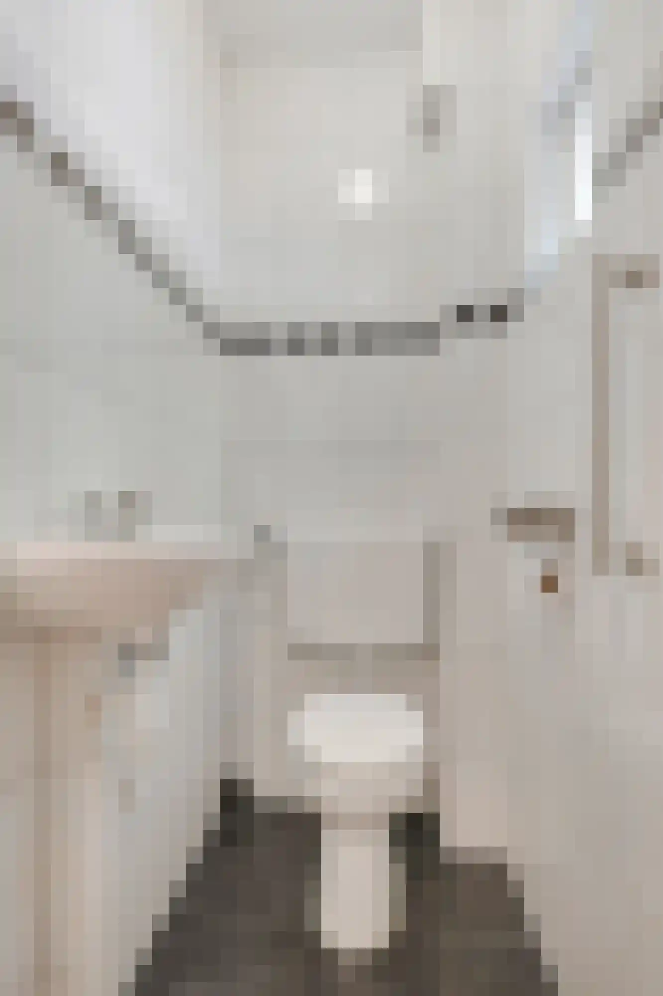 Prins Bernhardstraat 32 Duiven thumbnail 9
