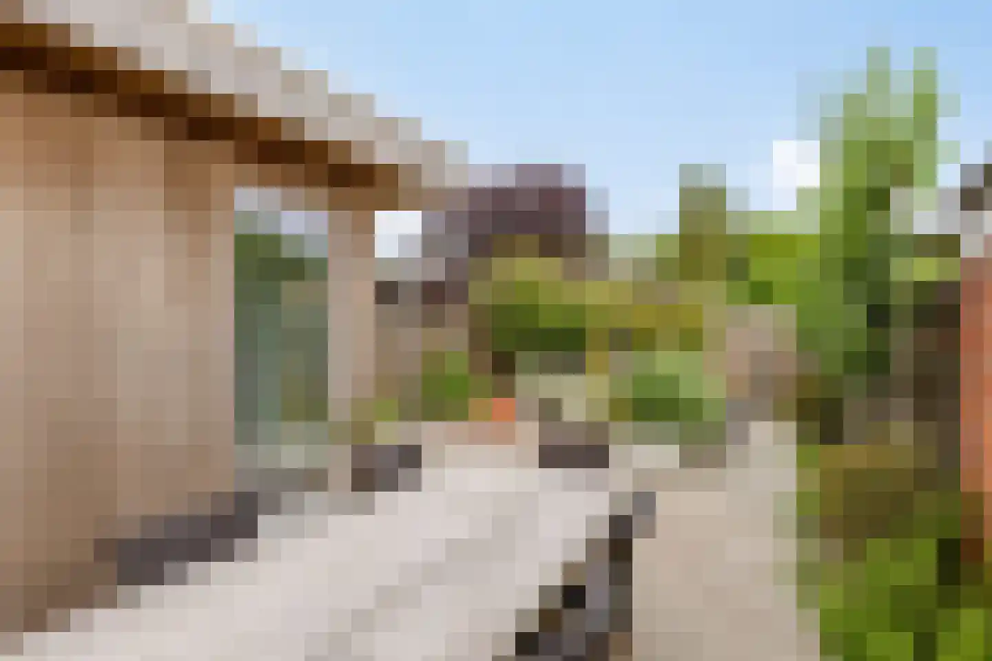 Prins Bernhardstraat 32 Valkenswaard thumbnail 26