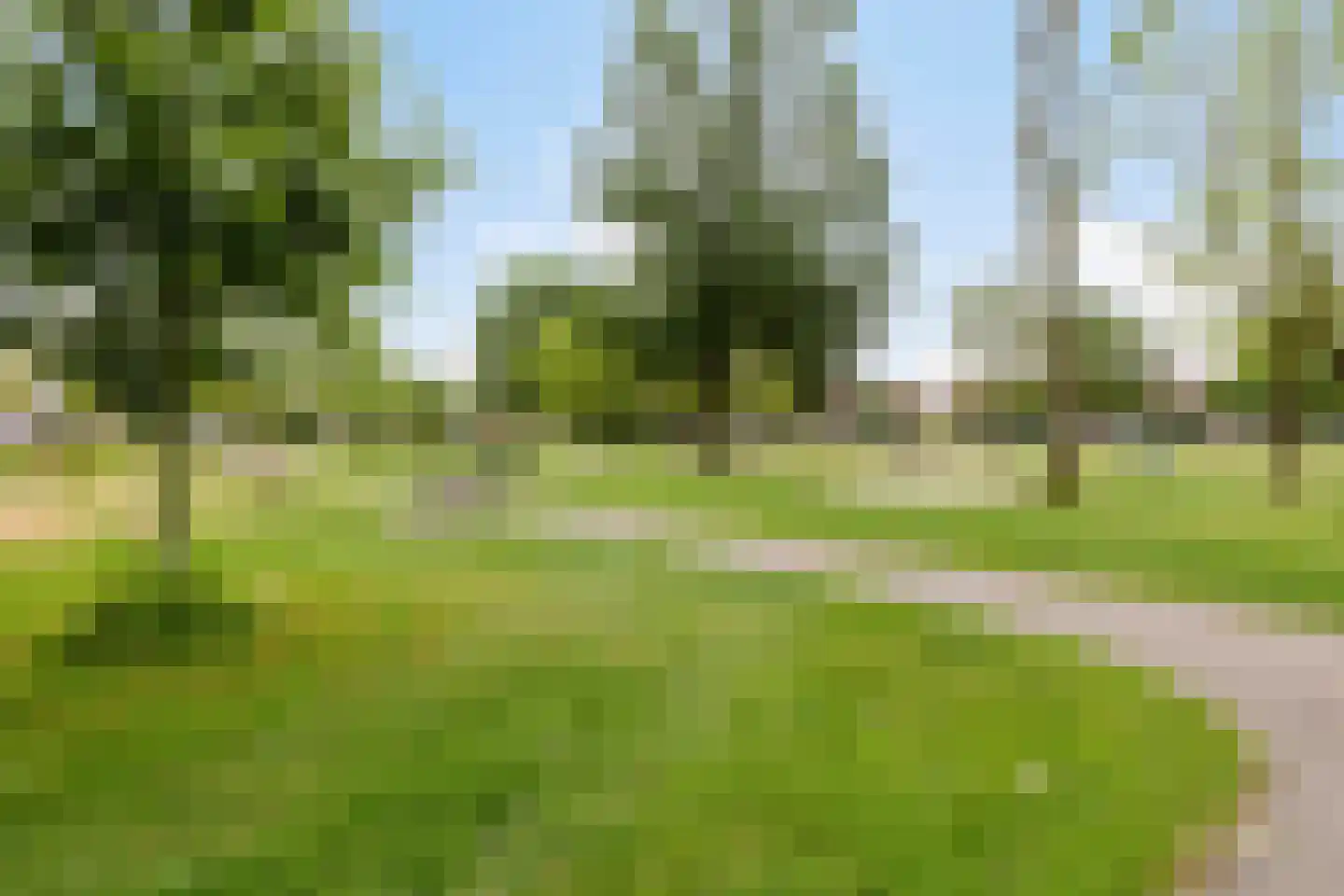 Prins Bernhardstraat 32 Valkenswaard thumbnail 34
