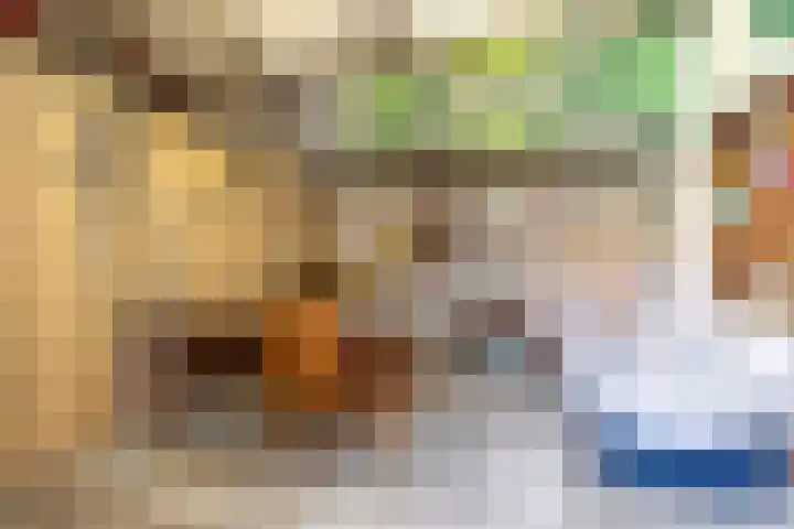 Prins Bernhardstraat 33 Silvolde thumbnail 35