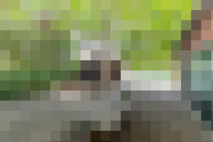 Prins Bernhardstraat 33 Silvolde thumbnail 37