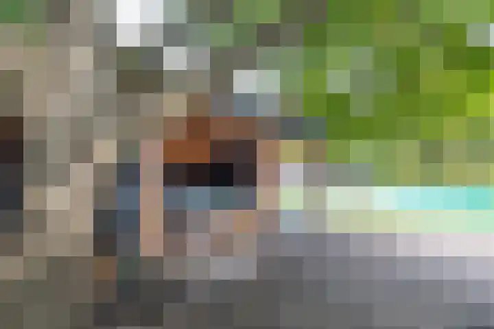 Prins Bernhardstraat 33 Silvolde thumbnail 38