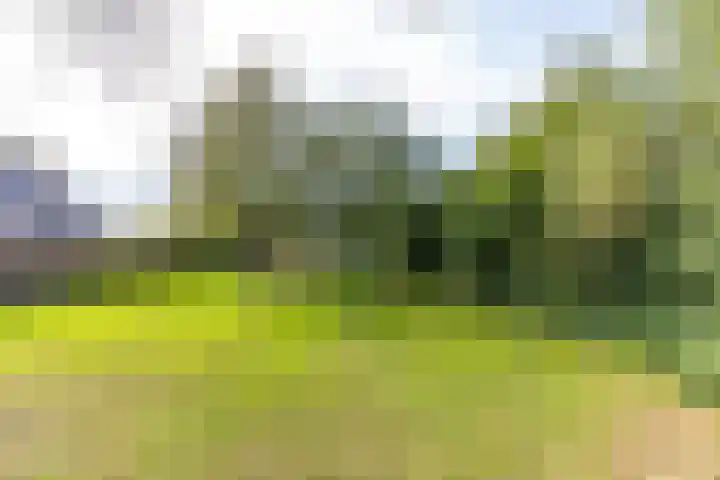 Prins Bernhardstraat 33 Silvolde thumbnail 42