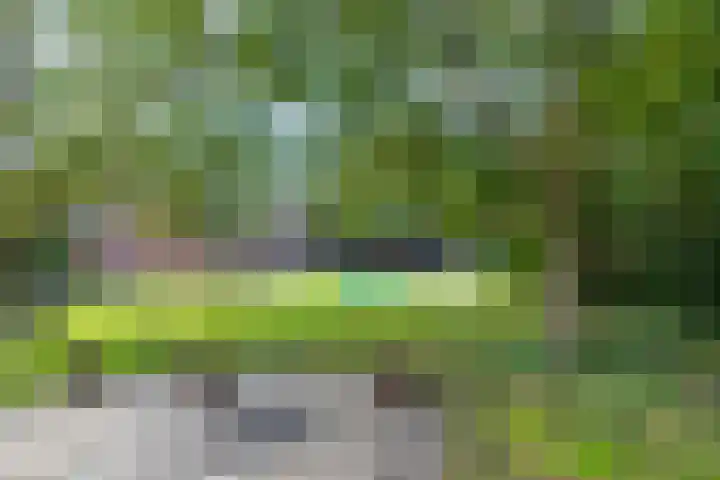 Prins Bernhardstraat 33 Silvolde thumbnail 43