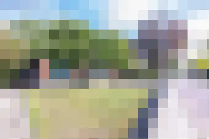 Prins Bernhardstraat 33 Silvolde thumbnail 47