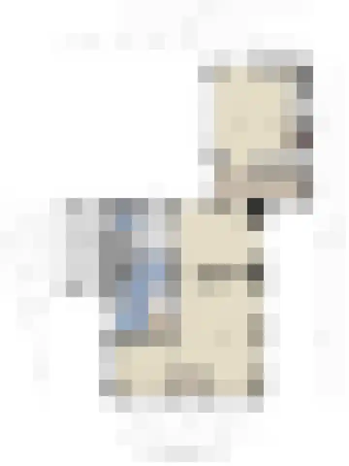 Prins Bernhardstraat 33 Silvolde thumbnail 50