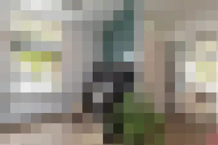 Prins Bernhardstraat 33 Silvolde thumbnail 6