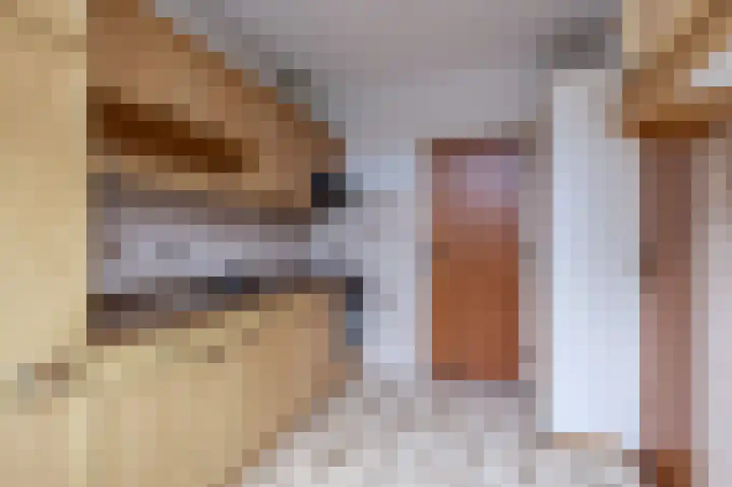 Prins Bernhardstraat 35 Culemborg thumbnail 10