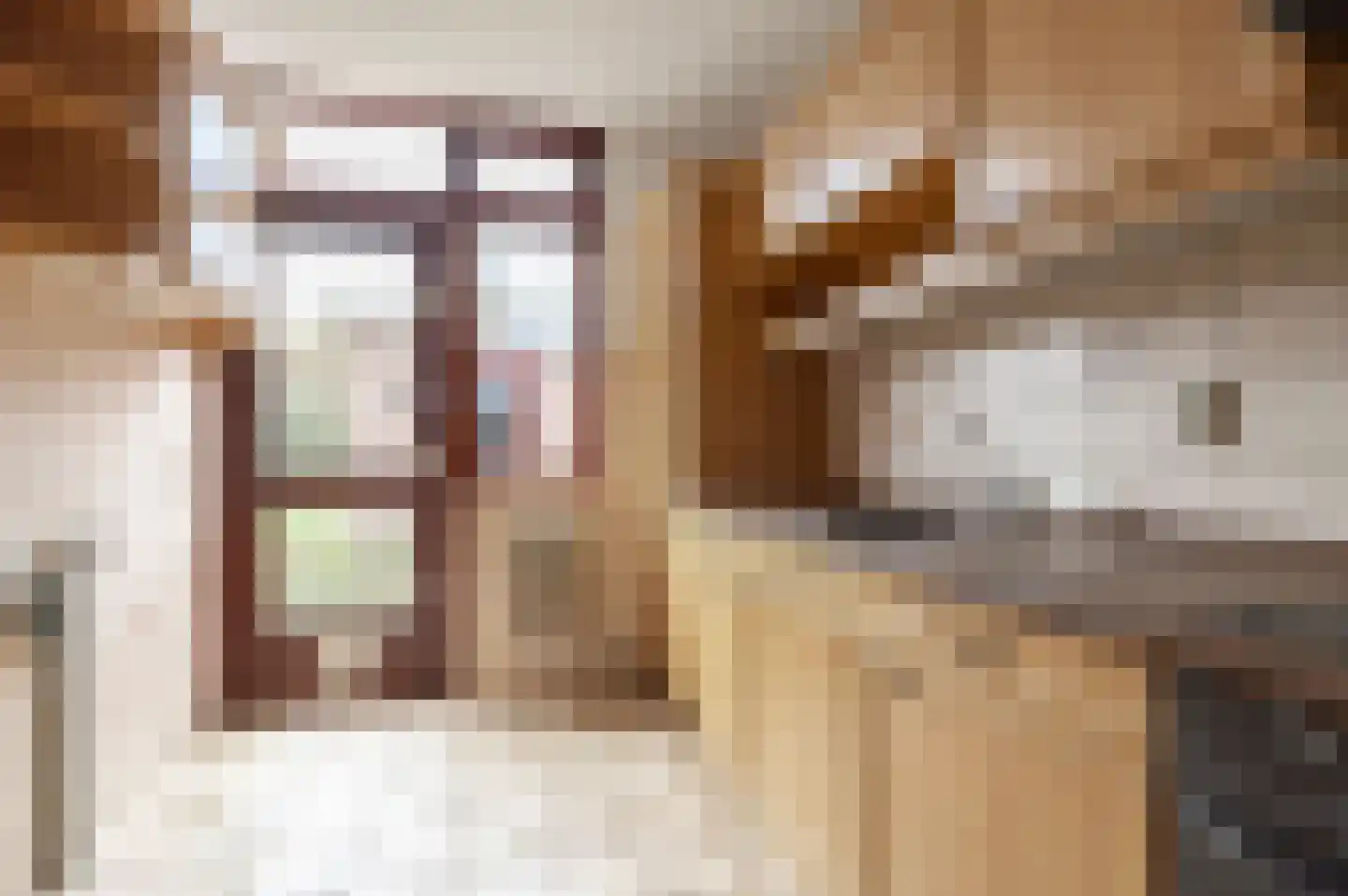 Prins Bernhardstraat 35 Culemborg thumbnail 13