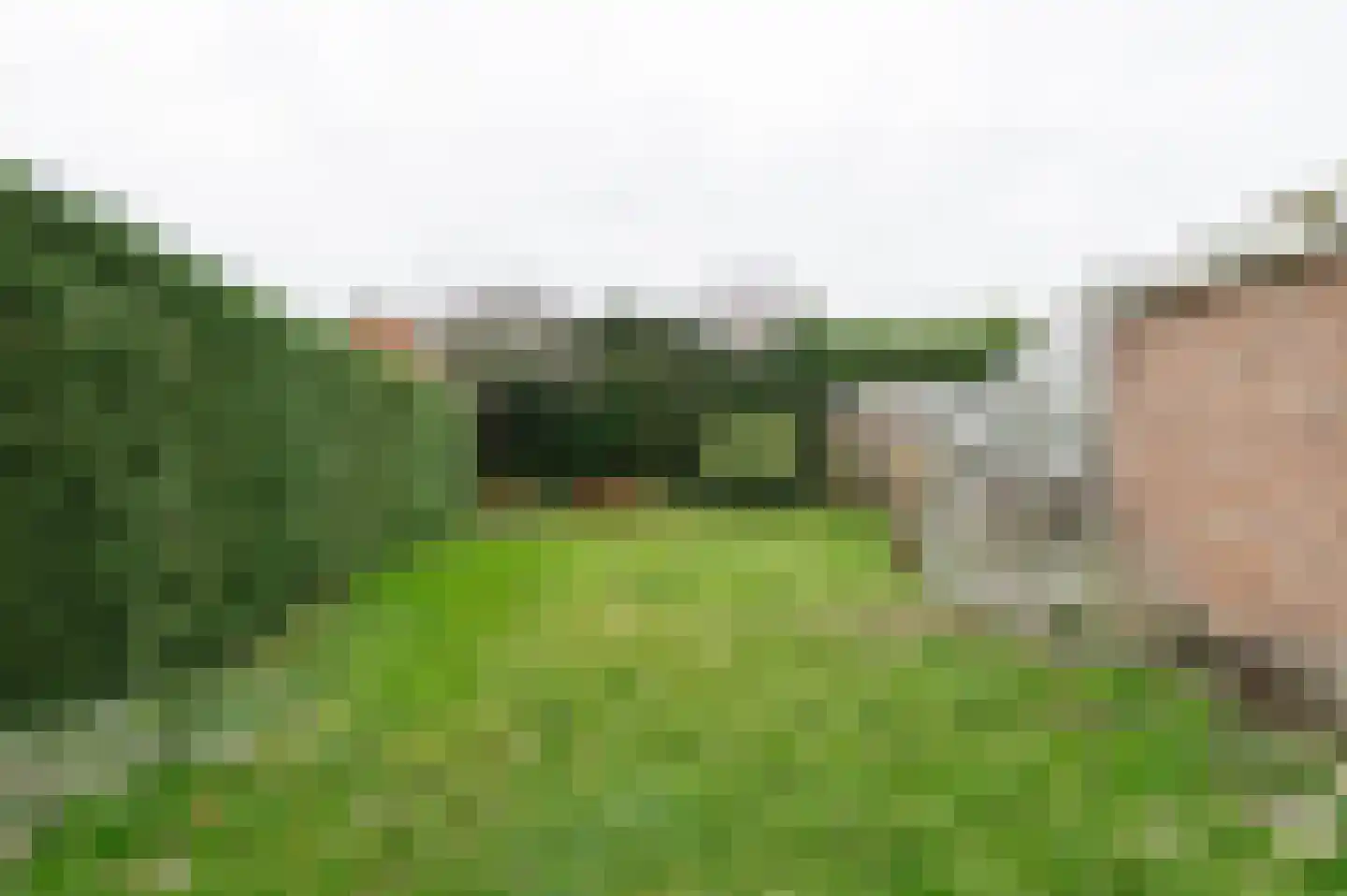 Prins Bernhardstraat 35 Culemborg thumbnail 14