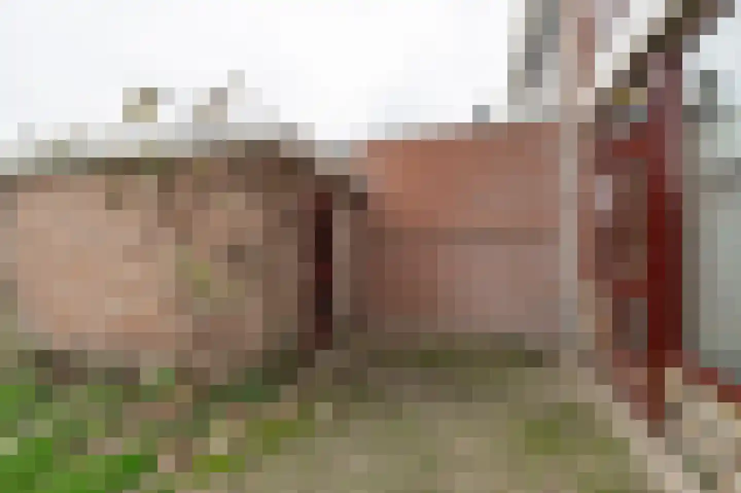 Prins Bernhardstraat 35 Culemborg thumbnail 18