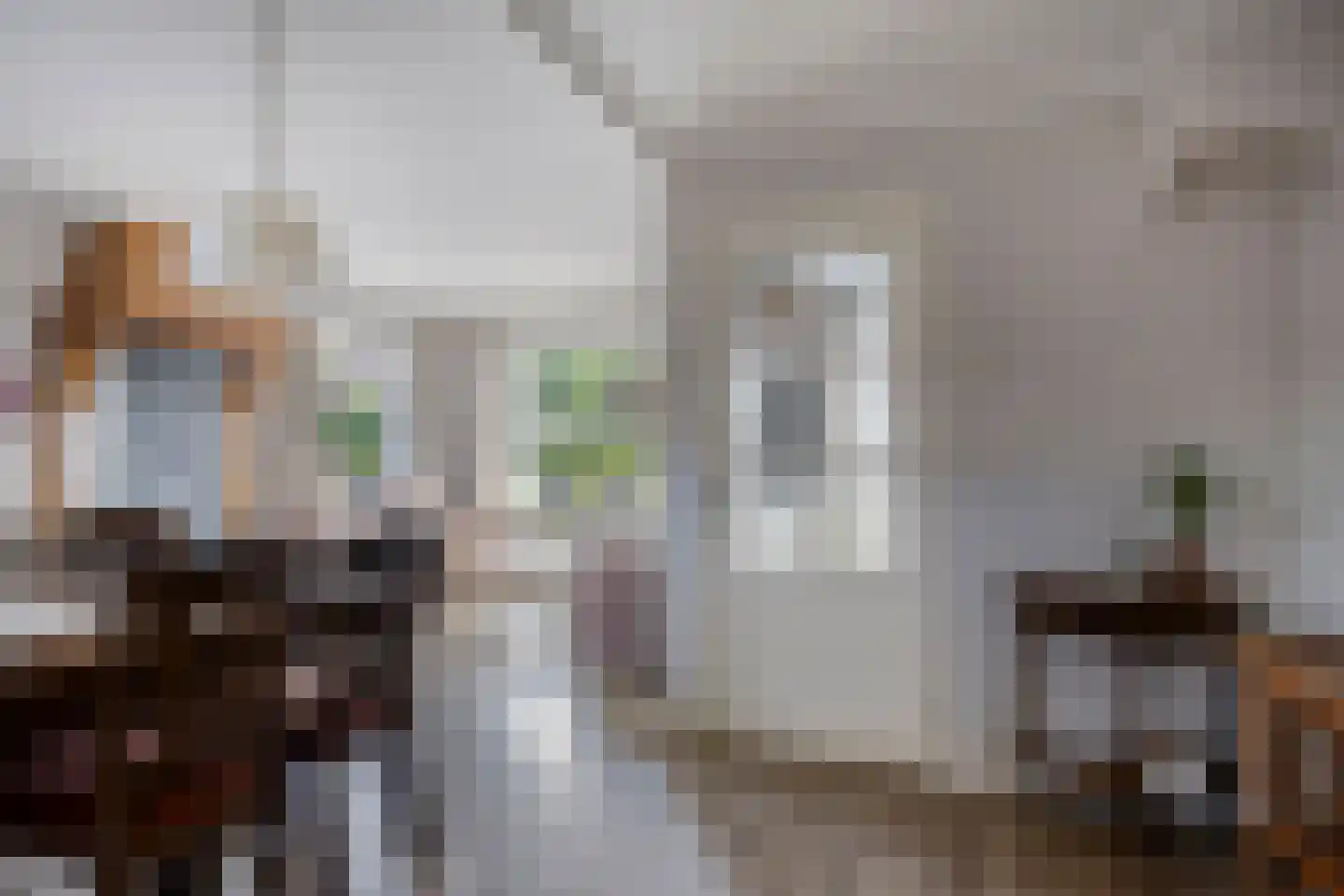 Prins Bernhardstraat 35 Heino thumbnail 14