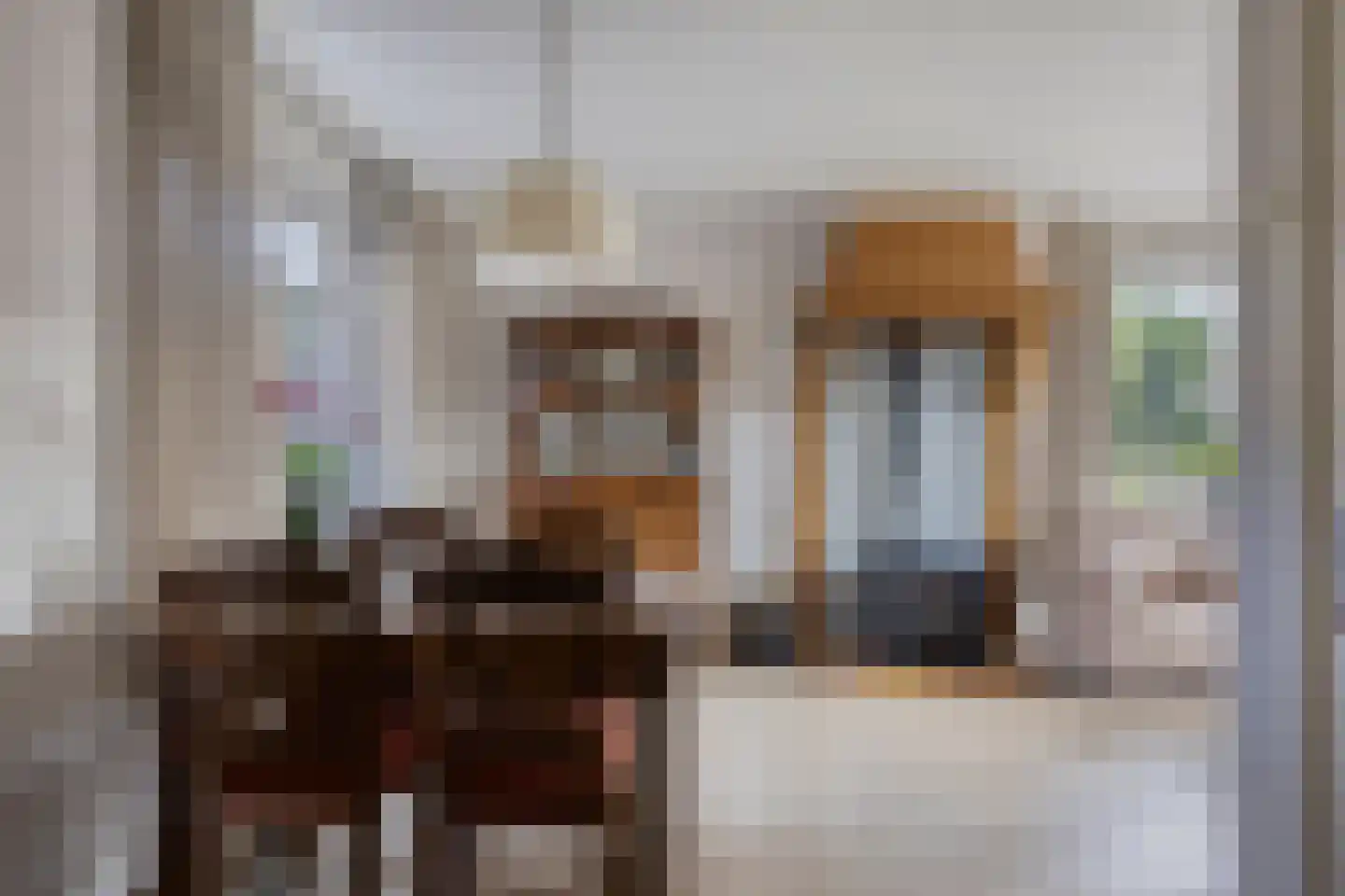 Prins Bernhardstraat 35 Heino thumbnail 15