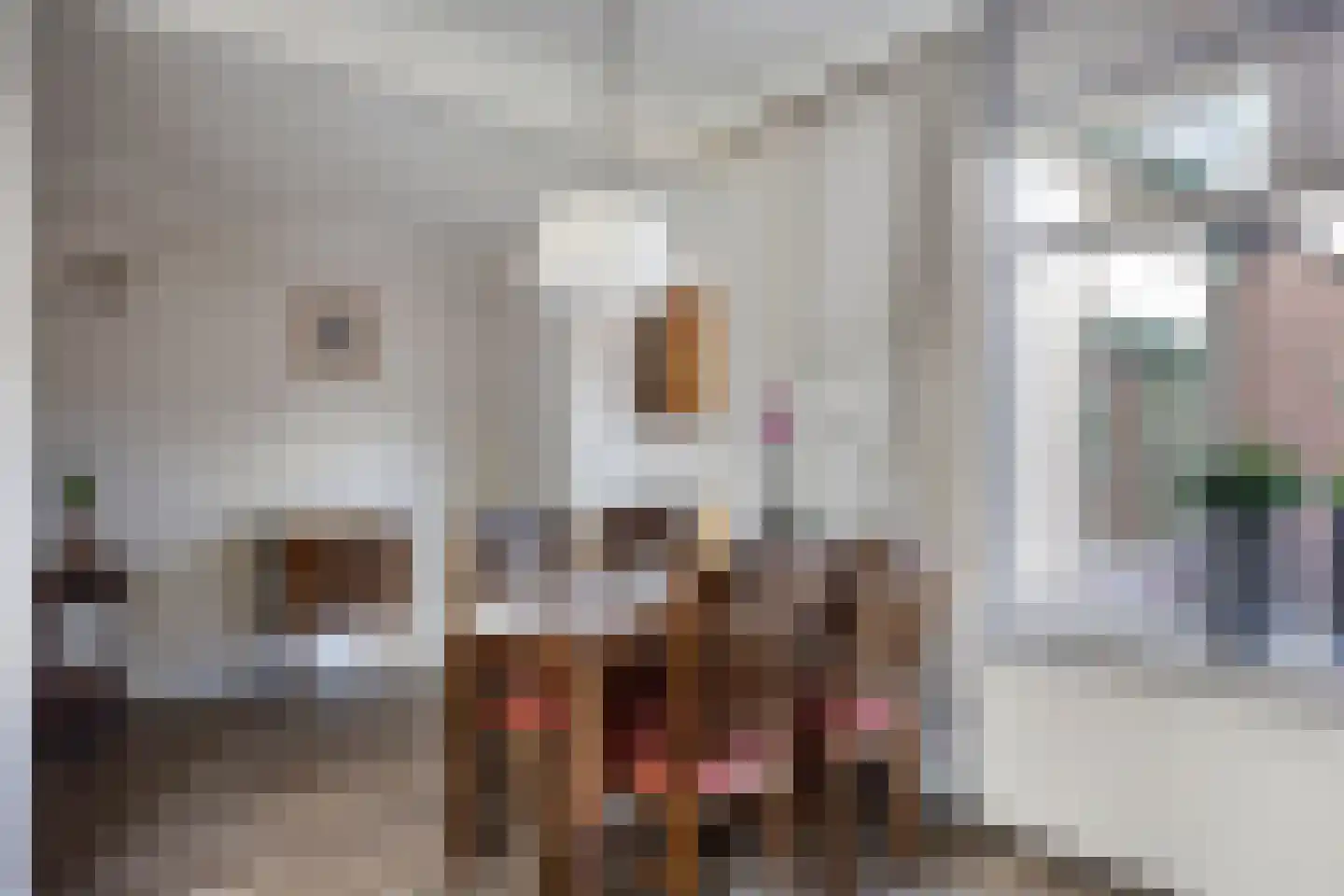 Prins Bernhardstraat 35 Heino thumbnail 16