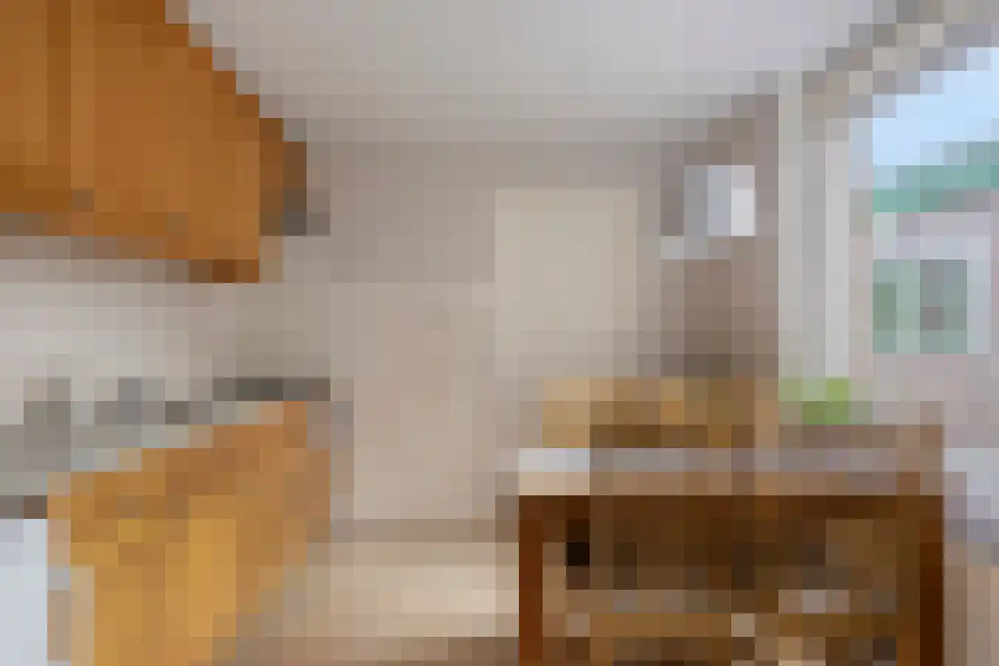 Prins Bernhardstraat 35 Heino thumbnail 17